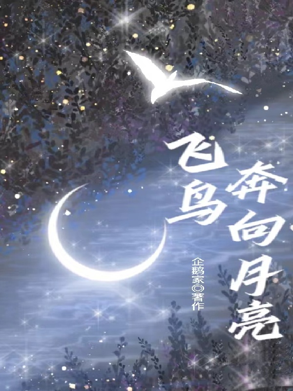 飞鸟奔向月光