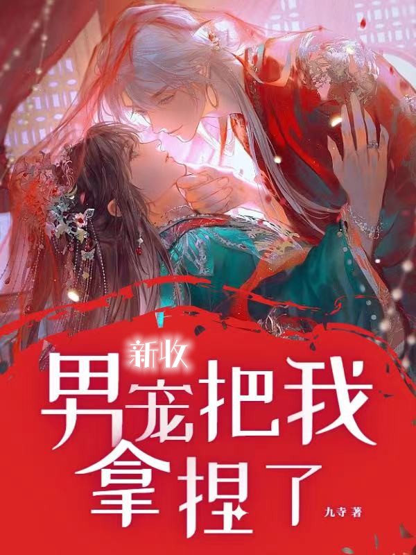 新收男宠把我拿捏了