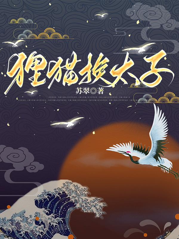 狸猫换太子