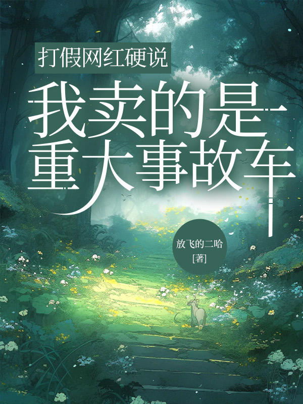 打假网红硬说我卖的是重大事故车