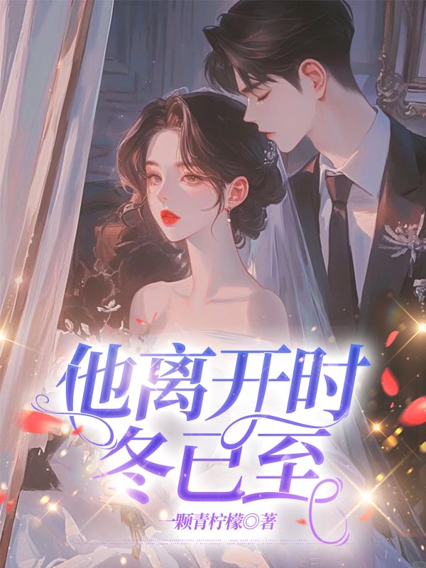 他离开时冬已至