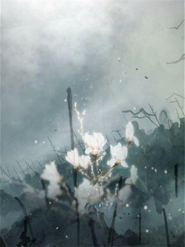 打脸兼挑两房的大师兄