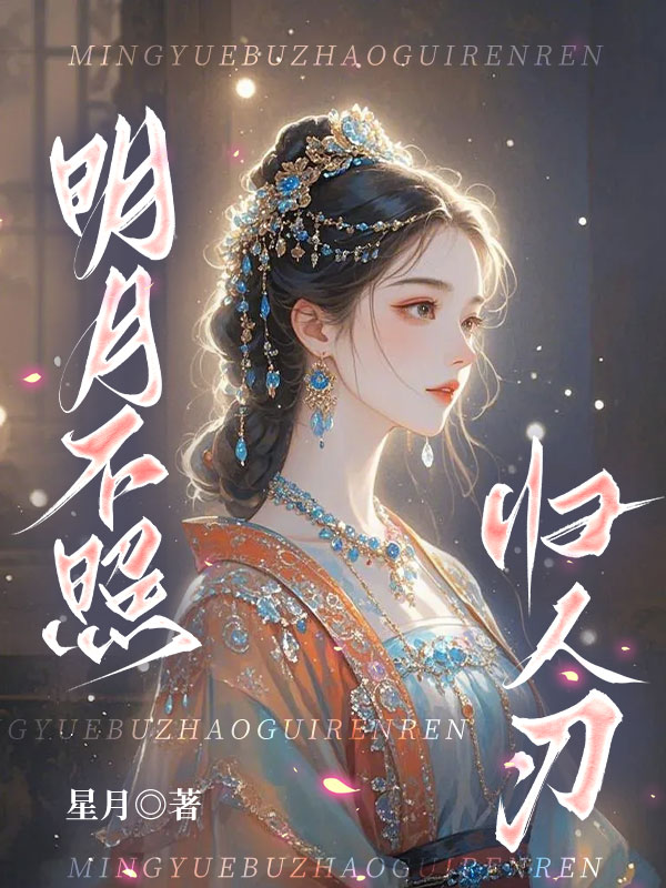 明月不照归人刃