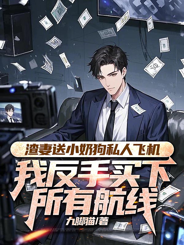 渣妻送小奶狗私人飞机，我反手买下所有航线