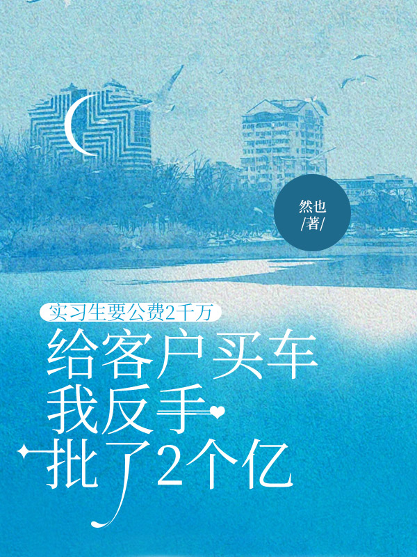 实习生要公费2千万给客户买车，我反手批了2个亿