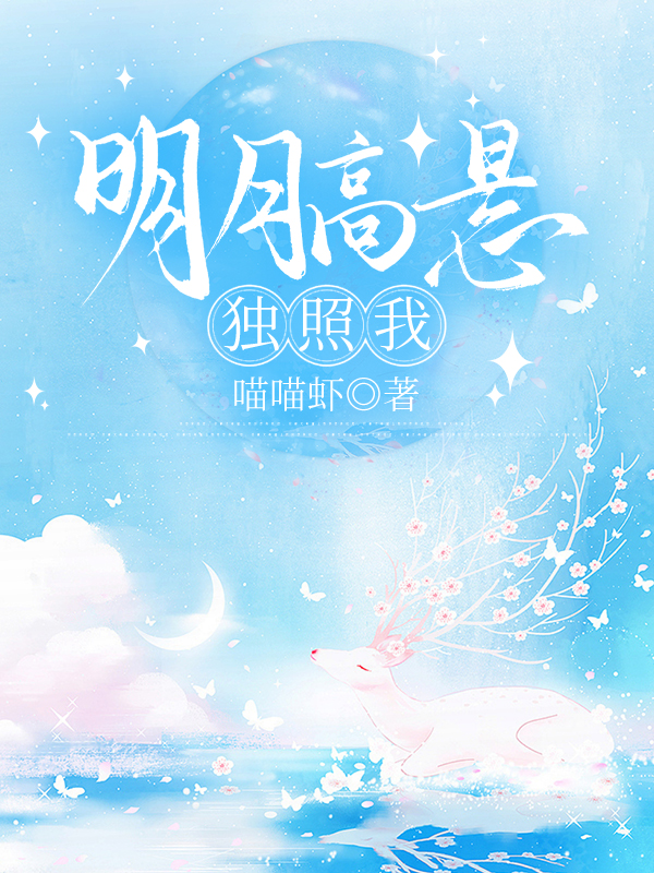 明月高悬独照我