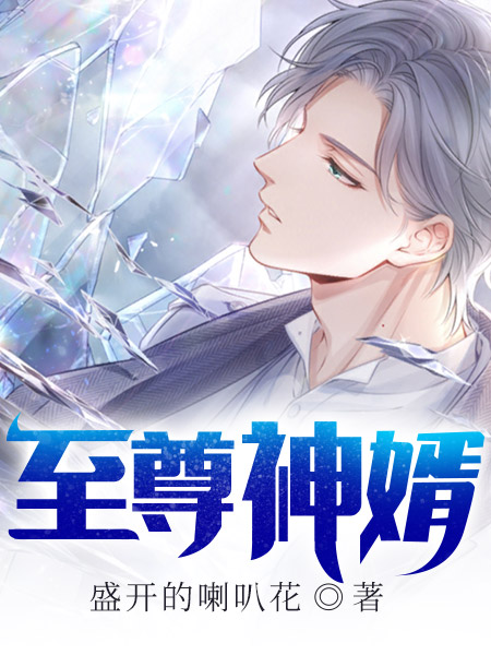 至尊神婿