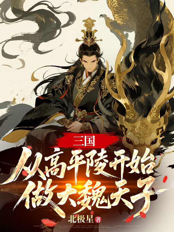 三国：从高平陵开始做大魏天子